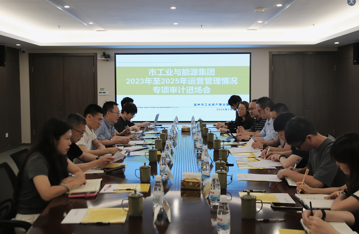 1779440913694007804.png 市国资委召开市工业与能源集团2023年至2025年运营管理专项审计进场会11.png
